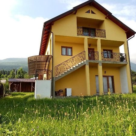 Hotel Casa Dana Borşa Exteriér fotografie
